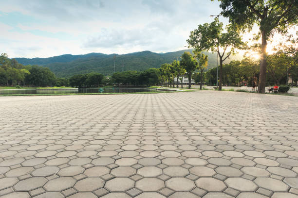 Best Residential Paver Driveway  in Tobaccoville, NC